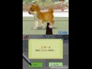 Primeras imágenes de Nintendogs