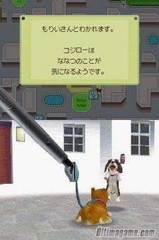 Ms de un milln de Nintendogs vendidos en toda Europa, segn anuncia Nintendo