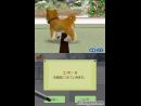 Un nuevo scan para Nintendogs