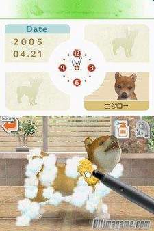 Ms de un milln de Nintendogs vendidos en toda Europa, segn anuncia Nintendo