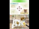 Un nuevo scan para Nintendogs