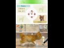 Un nuevo scan para Nintendogs