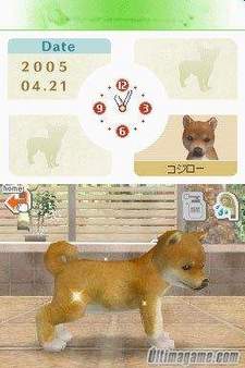 ���Nintendo DS a 129.99$ con el lanzamiento de Nintendodogs!!!