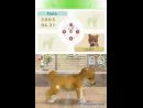 Anuncio japonés de Nintendogs