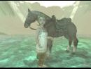 The Legend of Zelda: Twilight Princess desvelado