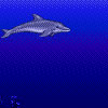 Ecco the Dolphin - (PC, Nintendo 3DS, Master System y Game Gear)