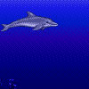 Ecco the Dolphin consola