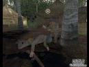 imágenes de Medal of Honor: Pacific Assault
