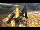 imágenes de Monster Hunter 4