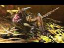 imágenes de Monster Hunter 4