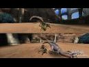 imágenes de Monster Hunter Tri