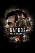 NARCOS Rise of The Cartels portada