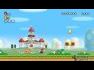 New Super Mario Bros Wii