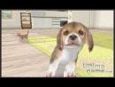 imágenes de Nintendogs + Cats