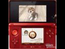 imágenes de Nintendogs + Cats