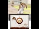 imágenes de Nintendogs + Cats