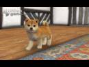 imágenes de Nintendogs + Cats