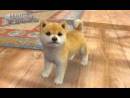 imágenes de Nintendogs + Cats