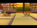 imágenes de Nintendogs + Cats