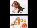 imágenes de Nintendogs