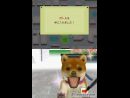 imágenes de Nintendogs