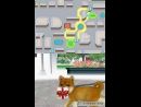 imágenes de Nintendogs