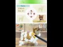 imágenes de Nintendogs