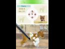 imágenes de Nintendogs