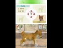 imágenes de Nintendogs