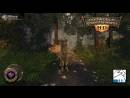 imágenes de Oddworld Stranger's Wrath HD