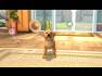 PlayStation Vita Pets