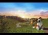 PlayStation Vita Pets