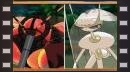 vídeos de Pokémon Sol y Luna
