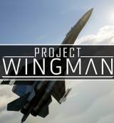 Danos tu opinión sobre Project Wingman