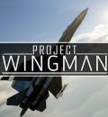 Project Wingman portada