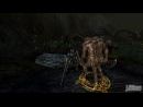 imágenes de Requiem - Bloodymare