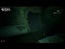imágenes de Roots of Insanity