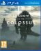 portada Shadow of the Colossus PlayStation 4