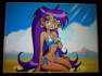 Shantae Riskys Revenge