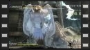 vídeos de Sin and Punishment: Successor of the Sky