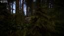 Imágenes recientes Sons Of The Forest