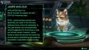 im&aacute;genes de Star Fox