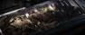 STARCRAFT FPS