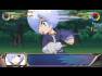Super Heroine Chronicle