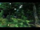 imágenes de The Elder Scrolls IV: Oblivion