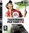 Tiger Woods PGA TOUR 10 portada