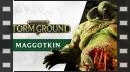 vídeos de Warhammer Age of Sigmar: Storm Ground