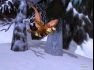 World of Warcraft Expansin: The Burning Crusade