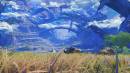Im&aacute;genes recientes Xenoblade Genesis